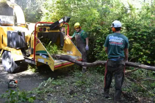 tree services Okeechobee